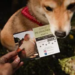 Hotel Rehavital 3*